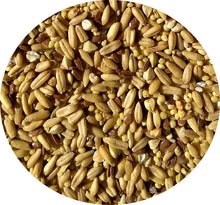 Small Bird Pellet & Seed Two-Pack (includes shipping)