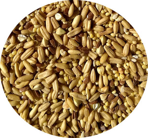 5 lb. Napoleon Seed Two-Pack (includes shipping)